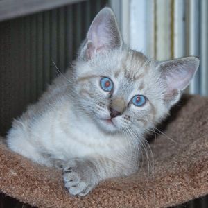 Meet your Posher, Heather